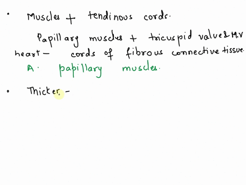 6-the-muscles-that-attach-to-tendinous-cords-chordae-tendineaeare-called-papillary-muscles-bpectinate-muscles-cpectoral-muscles-d-trabeculae-carneae-apexbaseof-the-heart-rightleftventricle-i-26706