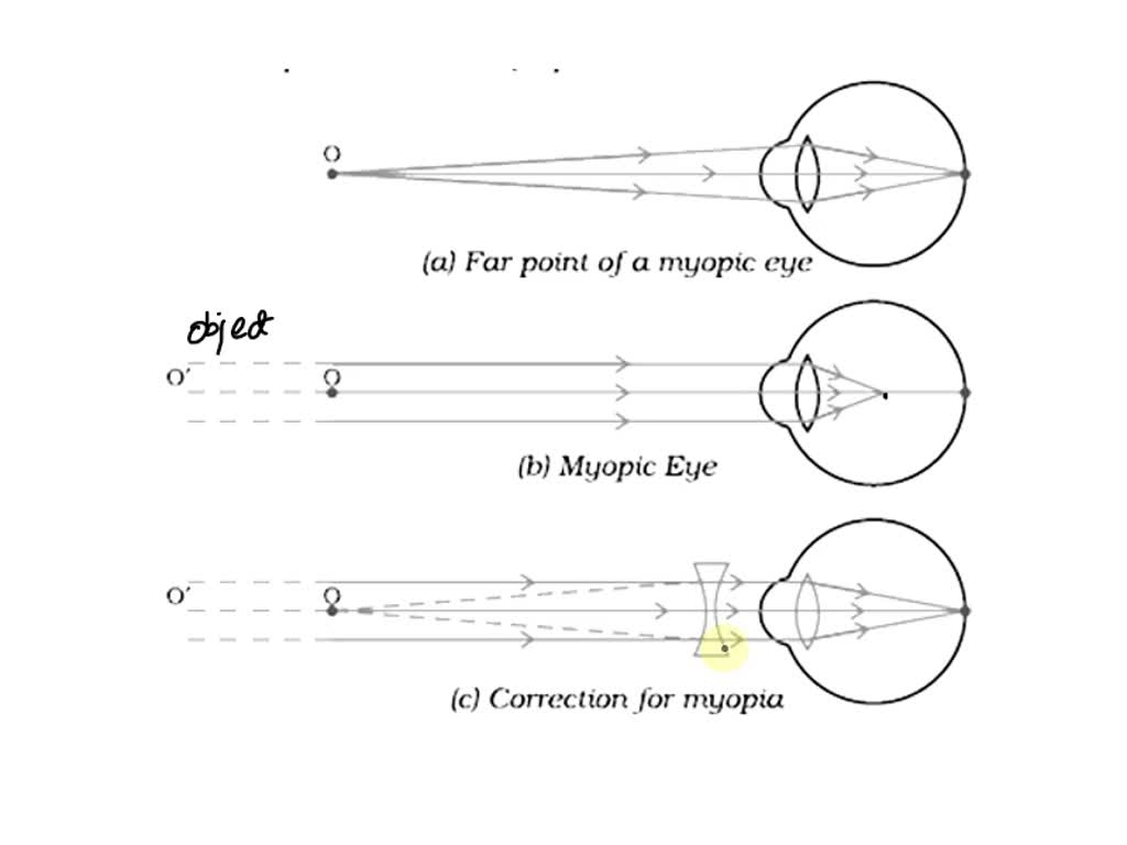 Reflection ray diagrams - YouTube