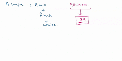 a-couple-male-and-female-of-black-ethnicity-have-a-female-child-who-appears-white-and-lacks-pigments-in-her-skin-albinism-is-a-recessive-trait-characterized-by-the-lack-of-pigment-melanin-in-97235