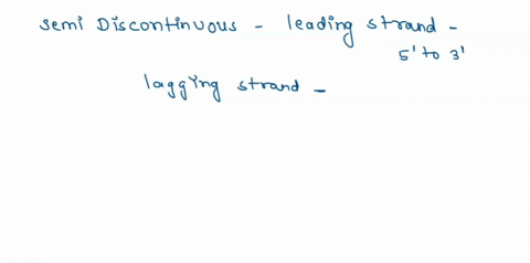 describe-the-process-of-dna-replication-for_the-leading_strand-using-the-following-vocabulary-all-terms-must-be-used-1-pt-each-clear-and-concise-proper-writing-2-pts-helicase-single-strand-b-17181