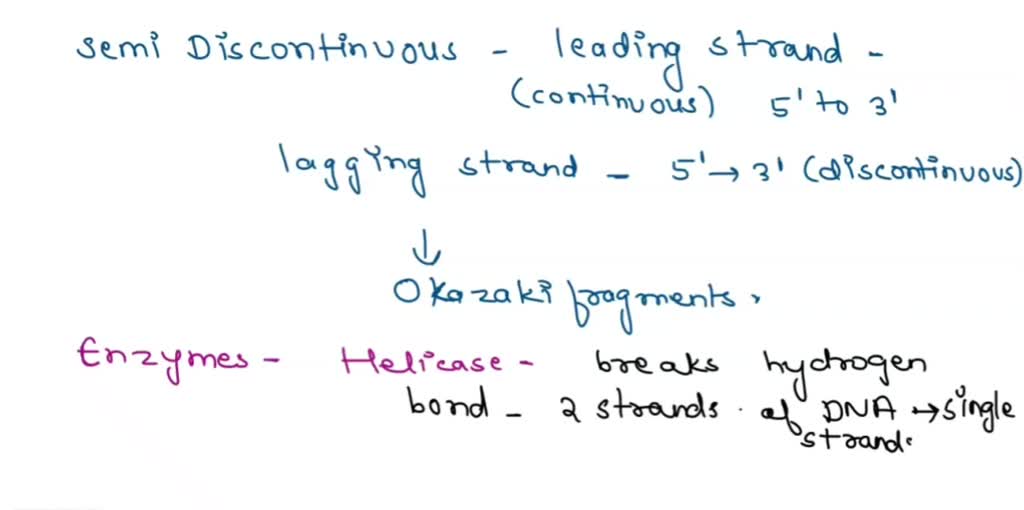 Fact Strand SOLVED: Use the following terms to make a concept map showing the steps ...