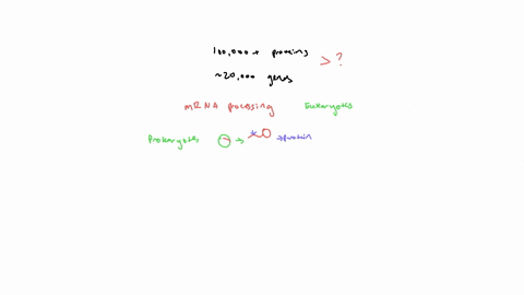question-41-now-that-the-human-genome-has-been-sequenced-we-know-that-there-are-fewer-than-approximately-20000-yet-the-total-number-of-expected-protein-coding-genes-discrepancy-in-numbers-pr-44709