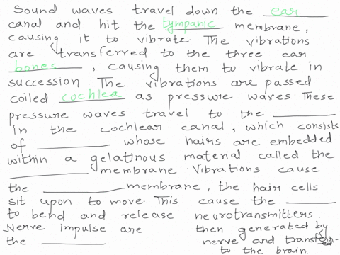 2-fill-in-the-blanks-for-the-process-hearing-sound-waves-travel-down-the-canal-hit-the-membrane-causing-it-to-vibrate-the-vibrations-are-transferred-t0-the-three-ear-causing-them-to-vibrate-88966