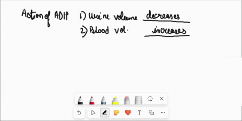 antidiuretic-hormone-adh-increases-the-permeability-of-the-collecting-ducts-to-water-facilitates-water-reabsorption-as-a-result-urine-volume-_____-and-blood-volume-_____-61592