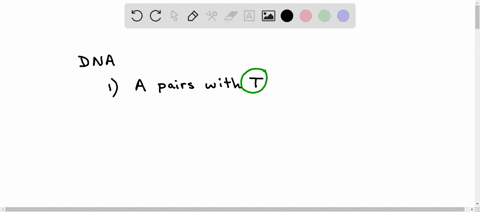 1-the-dna-base-a-pairs-with-g-c-t-a-2-the-dna-base-c-pairs-with-a-t-g-c-3-write-the-complementary-sequence-for-ggtca-answer-in-all-caps-no-spaces-07847