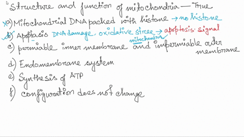 select-all-statements-that-accurately-describe-the-structures-or-functions-of-mitochondria-mitochondrial-dna-is-packaged-with-histones-mitochondria-regulate-apoptosis-mitochondria-have-a-per-09183