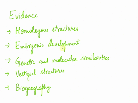 what-evidence-for-a-past-evolutionary-relationship-can-be-seen-in-different-groups-of-vertebrates-37305