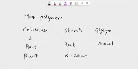 name-three-polysaccharides-composed-of-polymers-of-glucose-how-do-these-macromolecules-differ-from-one-another-13034
