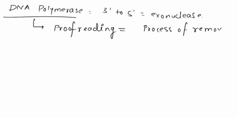 what-is-the-function-0f-3-to-5-exonuclease-activity-in-dna-polymerases-what-would-be-the-consequence-of-mutating-this-activity-of-dna-polymerase-iii-on-the-fidelity-of-replication-of-e-coli-62552