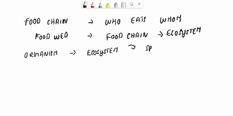 which-of-the-following-situations-accurately-describes-a-difference-between-a-food-chain-and-a-food-web-80481