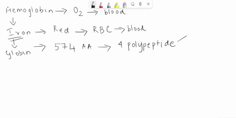 what-is-the-exact-amino-acids-sequence-of-hemoglobin-38787