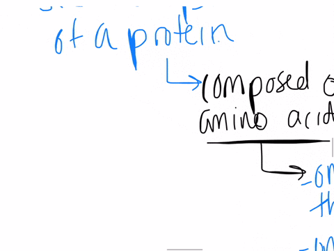 16-which-one-of-the-following-statements-accurately-describes-the-secondary-structure-of-a-protein-a-the-sequence-of-amino-acids-in-the-chain-and-the-location-of-all-the-disulfide-bridges-b-the-regu-2