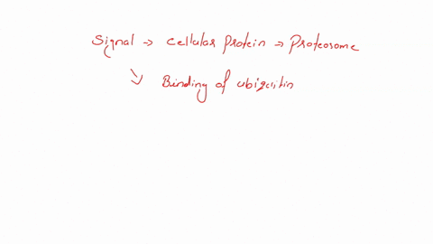 the-signal-that-a-cellular-protein-is-to-be-degraded-by-the-proteasome-is-internal-breakage-of-peptide-bonds-denaturation-of-tertiary-structures-reduction-of-its-disulfide-bonds_-binding-of-91624