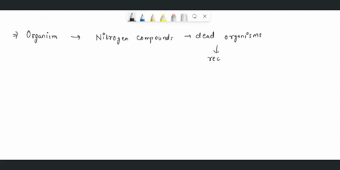 which-type-of-organisms-break-down-nitrogen-compounds-in-dead-organisms-and-recycle-them-into-the-soil-85197