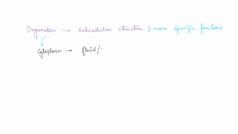 cell-concept-map-construct-cell-concept-map-discussing-the-organelles-of-the-cell-and-different-cellular-processes_-be-sure-to-include-short-description-of-the-function-or-each-organelle-in-06285