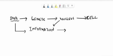 1-dna-a-encodes-the-information-needed-for-making-proteins-within-the-cell-b-directs-rna-to-make-lipids-c-directs-rna-to-produce-glucose-d-produces-carbohydrates-2-the-physical-structure-of-45109