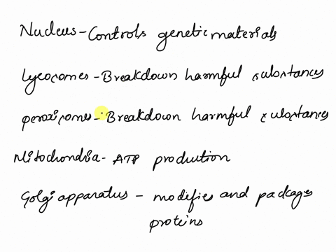 please-answer-it-for-each-cell-organelle-question-54-match-the-cell-organelle-with-its-function-nucleus-choose-modifies-and-packages-proteins-atp-production-breakdown-harmful-substances-synt-42157
