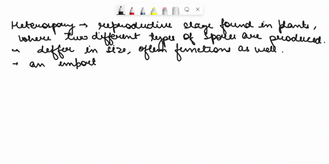 what-is-heterospory-briefly-comment-on-its-significance-give-two-examples-16813