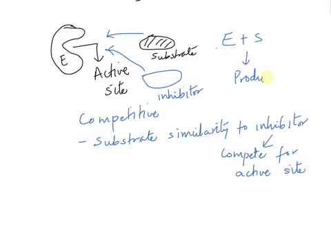 differentiate-between-competitive-and-non-competitive-inhibition-of-enzymes-20916