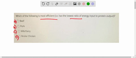 which-of-the-following-dna-repair-mechanisms-discussed-in-this-class-are-error-prone-select-all-that-apply-dna-polymerase-proofreading-direct-reversal-of-damaged-dna-base-excision-repair-nuc-93702