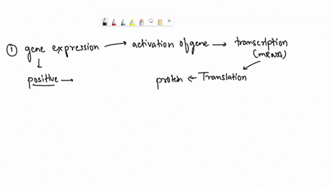 1-in-positive-control-of-gene-expression-an-_______-is-required-for-gene-expression-2-in-gene-expression-___________-control-requires-the-removal-of-a-repressor-from-dna-for-transcription-to-43545