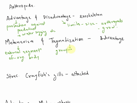 phylum-arthropoda-discussion-5-what-are-the-advantages-and-disadvantages-of-having-an-exoskeleton-6-define-metamerism-and-tagmatization-and-discuss-the-advantages-of-these-characteristics-7-01518