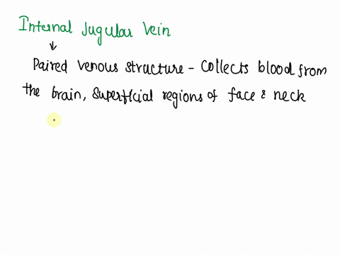 which-structure-is-highlighted-multiple-choice-internal-jugular-vein-left-brachiocephalic-vein-facial-vein-external-jugular-vein-right-brachiocephalic-vein-51617