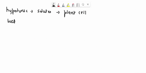 umdlerstnalng-goluites_-water-conceniratlon-und-tonjcix-3-based-on-the-tonicity-in-elodea-cells-iab-hypotonic-environment-causes-cellke-swel-or-burst-because-check-all-that-apply-0-rrngic-th-81872