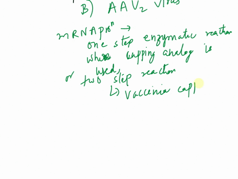 1-mrna-production-in-vaccinia-virus-is-most-similar-to-mrna-production-in-which-of-the-following-viruses-a-bacteriophage-t7-b-aav2-c-sv40-d-bacteriophage-lambda-e-adenovirus-2-the-structure-38424