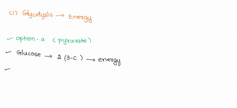 at-the-end-of-glycolysis-most-of-the-energy-originally-found-in-glucose-is-located-in-molecules-of-pyruvate-glyceraldehyde-3-phosphate-atp-nadh-acetyl-coa-during-oxidative-phosphorylation-in-07808