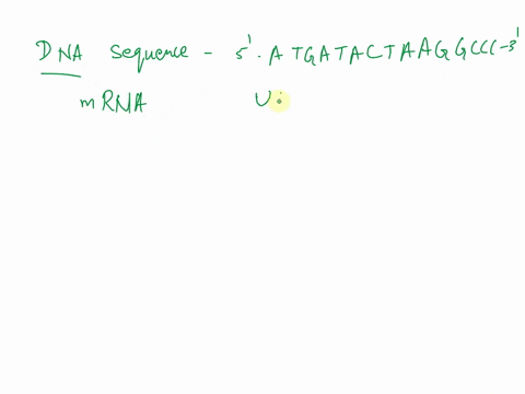 a-nontemplate-strand-on-bacterial-dna-has-the-following-base-sequence-what-amino-acid-sequence-will-88766