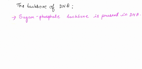 the-backbone-of-dna-consists-of-repeating-sugar-phosphate-sugar-phosphate-pattern-nitrogenous-bases-repeating-sugar-base-sugar-base-pattern-paired-nucleotides-47847
