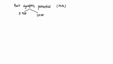 post-synaptic-potentials-are-either-excitatory-epsp-or-inhibitory-ipsp-describe-how-these-excitatory-or-inhibitory-effects-are-determined-by-the-actions-of-neurotransmitters-at-post-synaptic-59688