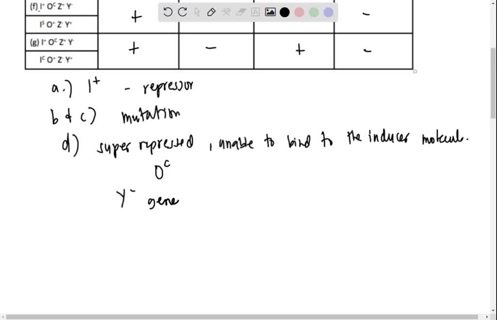 solved-3-a-number-of-mutations-affect-the-expression-of-the-lactose