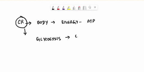 which-of-the-following-is-the-correct-sequence-of-events-in-cellular-respiration-02098