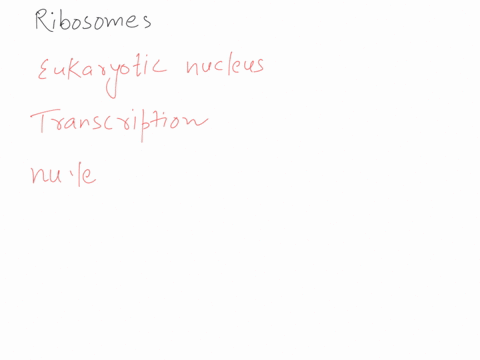 in-eukaryotic-cells-________-occurs-in-the-nucleus-resulting-in-the-production-of-mrna-which-then-travels-to-the-ribosome-for-________-into-an-amino-acid-chain-71265