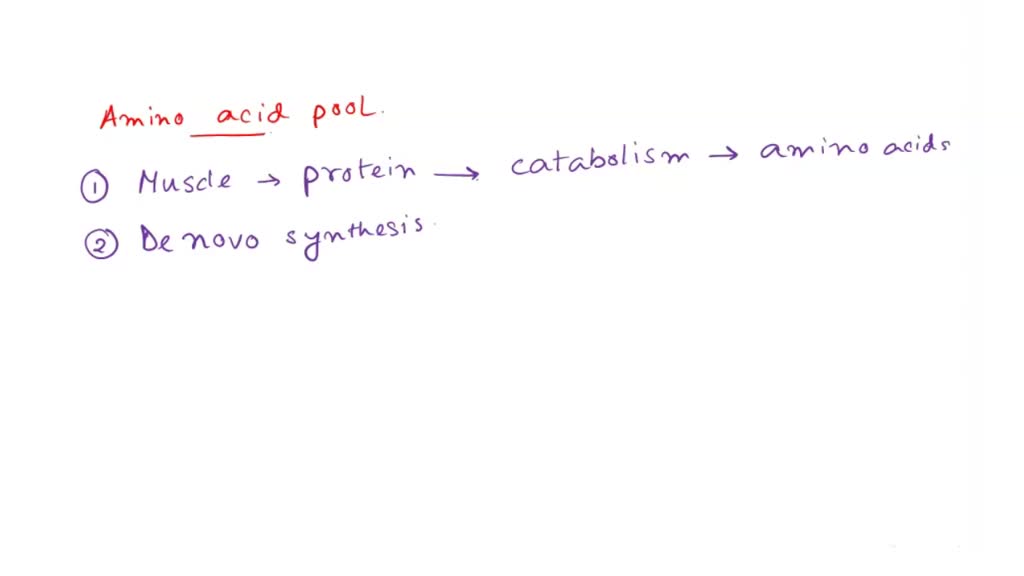 SOLVED How are amino acids supplied to the amino acid pool? Group of