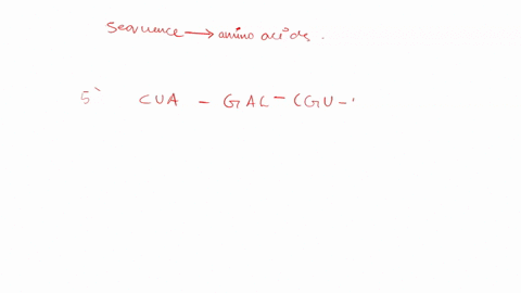 how-many-amino-acids-would-be-encoded-by-the-sequence-5-augcgaguauacuga-3-where-aug-is-the-start-codon-and-uga-is-the-stop-codon-oa-4-0b-5-oc-3-od-9-21424