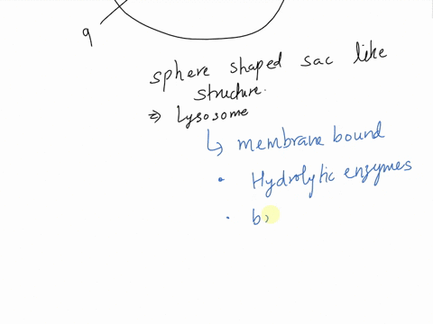 anyone-have-the-answer-dnsici-tolne-quesiion-animal-cell-10-14-what-part-of-the-cell-does-9-represent-a-lysosome-b-centrosome-c-ribosome-d-cytoplasm-mark-for-review-will-be-highlighted-on-th-61556