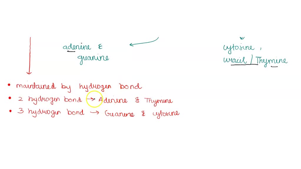 SOLVED QUESTION 4 Select each correct statement that describes an
