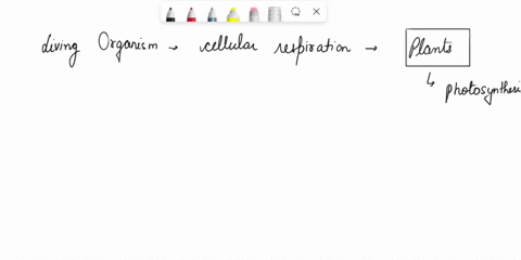 describe-the-interactions-between-photosynthesis-and-cellular-respiration-including-the-reactants-and-products-of-each-92308