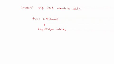 ______________-unravels-the-dna-double-helix-by-disrupting-the-________________-between-the-two-strands-ligase-phosphate-ester-bonds-helicase-hydrogen-bonds-ligase-covalent-bonds-helicase-co-16672