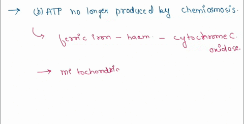 cyanide-poisoning-occurs-because-cyanide-inhibits-an-enzyme-in-the-electron-becsport-pathwav-which-of-the-following-is-the-reason-why-cyanide-poisoning-becomes-deadly-if-not-treated-promptly-65142