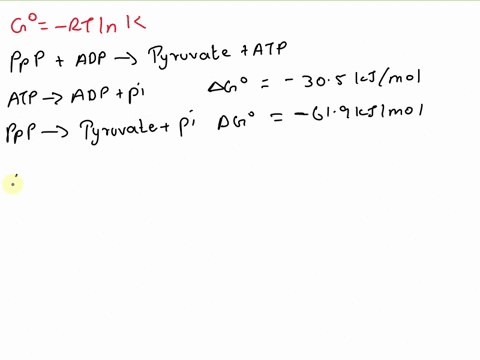 in-glycolysis-the-enzyme-pyruvate-kinase-catalyzes-this-reaction-phosphoenolpyruvate-adp-pyruvate-atp-given-the-information-below-show-the-calculation-of-the-equilibrium-constant-for-this-re-55066