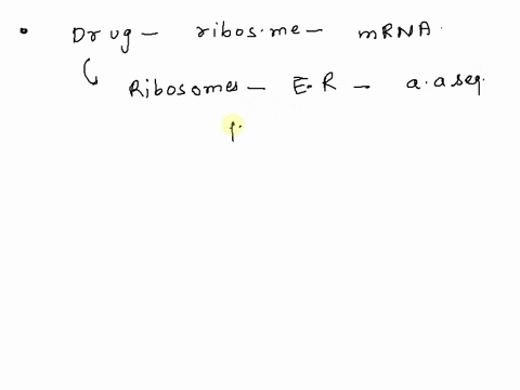 if-you-were-to-add-a-drug-that-interfered-with-the-ability-of-ribosomes-to-bind-to-mrna-what-effect-would-this-be-expected-to-have-on-the-structure-of-the-rough-er-1197