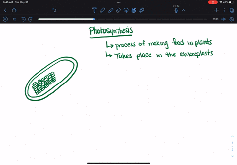 11-what-is-the-overall-equation-for-photosynthesis-in-which-plant-organelle-does-photosynthesis-occur-know-the-parts-and-their-functions-for-this-organelle-12-what-are-the-two-sets-of-reacti-73995
