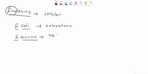 qurcion-28-nolyel-anstizred-polnta-which-of-the-following-organisms-could-not-produce-an-exotoxin-sclect-one-escherichia-coli-raq-quertlon-staphylococcus-aureus-clostridlum-botulnum-ebola-vi-17088