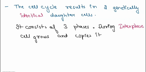 the-cell-cycle-complete-the-paragraph-to-describe-how-the-cell-cycle-should-function-not-all-answer-choices-will-be-used-cytokinesis-the-cell-cycle-results-in-two-genetically-cells-daughter-31889