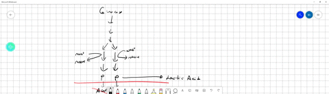 help-please-a1-which-of-these-statements-about-fermentation-is-not-true-a-fermentation-occurs-in-order-to-oxidize-nadh-so-that-nad-can-be-regenerated-for-subsequently-oxidizing-glucose-via-g-13111