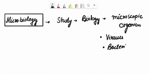 1-define-microbiology-2-who-is-the-father-of-microbiology-3-how-did-pasteur-prove-biogenesis-what-is-killed-in-milk-pasteurization-what-vaccine-did-pasteur-develop-do-bacteria-have-nucleus-w-02654